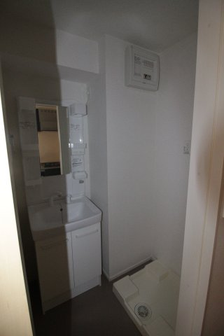 アルヴィータ日吉の洗面所