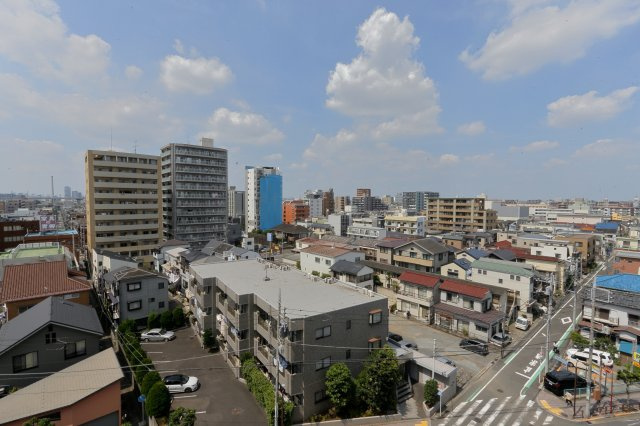 ザパームスシンコイワの展望