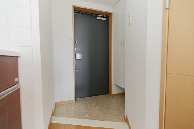 THEパームス新小岩 の玄関