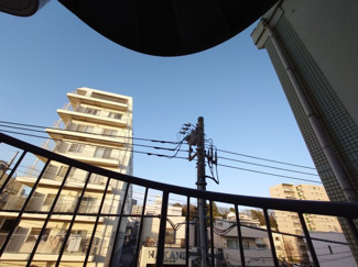 【その他】 | ブルックスとりで