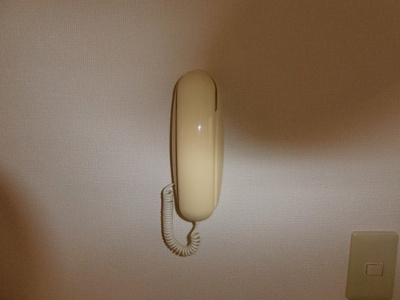 【セキュリティ】 | シャーメゾン.エル | 103の写真（間取同タイプ：イメージ）