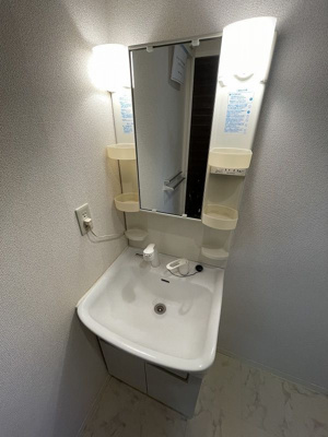 【独立洗面台】 | グリーンネスト綱島西【SHM】 | ※参考写真※