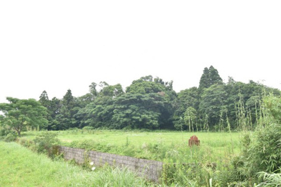 【外観】 | 鹿屋市吾平町下名　売地