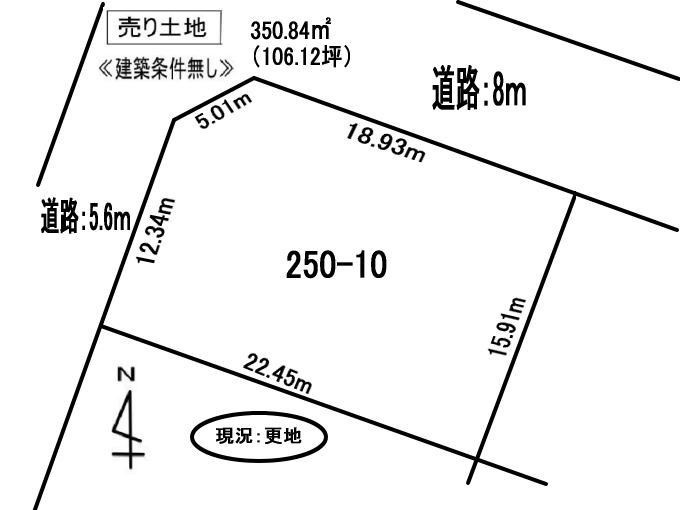 伊達市弄月町250-10　土地