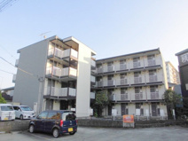 アウロラの画像