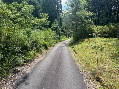 【前面道路含む現地写真】 | 多可町加美区多田売土地