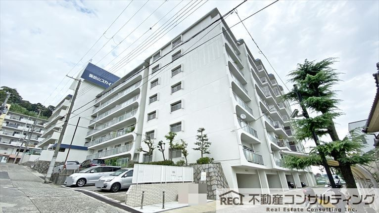 諏訪山スカイハイツの外観