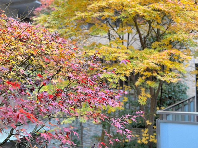 【その他共用部分】 | ブランズ・ジオ等々力