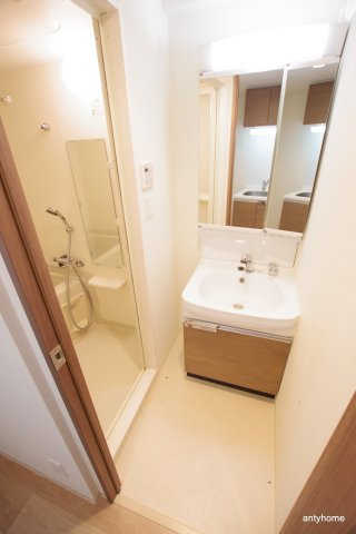 プレサンス水都OKAWA　仲介手数料無料の洗面所