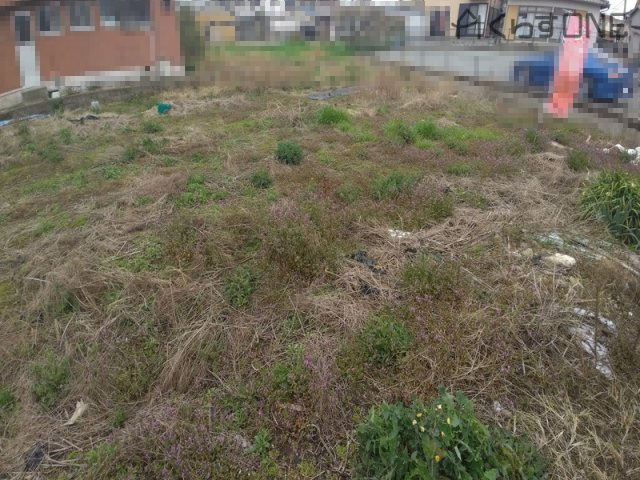 【外観】 | 姫路市網干区興浜／売土地