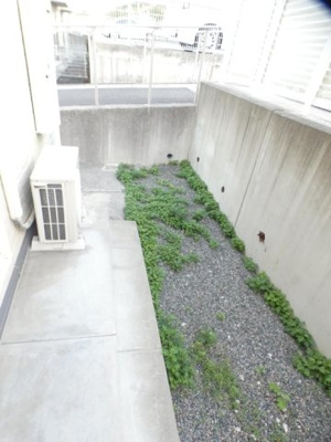 【庭】 | ベルヴィルカメリア | お庭で自由な時間を過ごせます