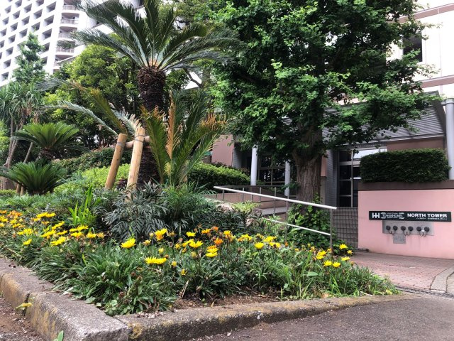 西戸山タワーホウムズノースタワー