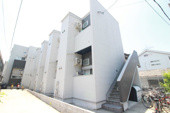 Sarang Mitoの画像
