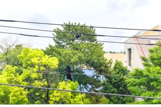 【展望】 | 【 View 】
木の暖かさをより感じさせてくれる太陽の光、一日の始まりを心地よく演出してくれます。窓から入る気持ちのいい風で、活力がみなぎることでしょう。