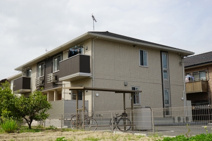 セラフィーナの画像