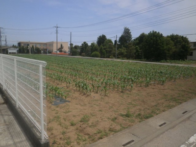 【外観】 | 深谷市岡 600万 土地 | 南側公道から