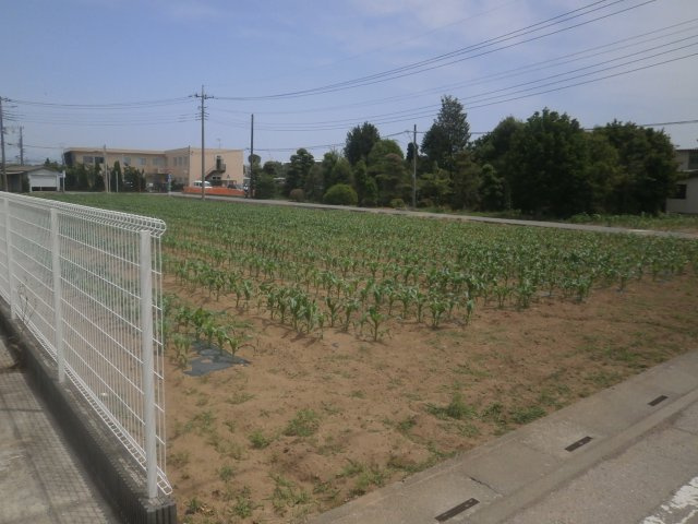 【外観】 | 深谷市岡 600万 土地 | 南側公道から