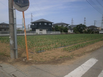 【外観】 | 深谷市岡 600万 土地 | 南側公道から