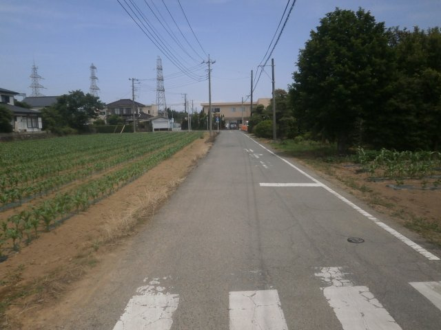 【前面道路含む現地写真】 | 深谷市岡 600万 土地 | 東側公道