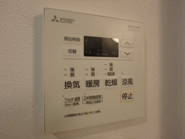 F asecia iliaの設備