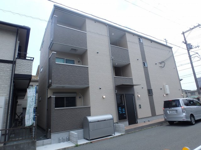F asecia iliaの外観