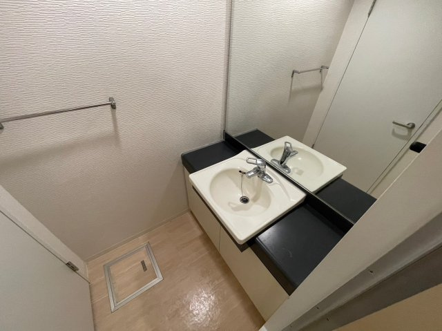 フレックス芦屋の洗面所