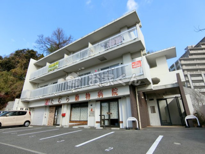 【外観】 | 石井マンション