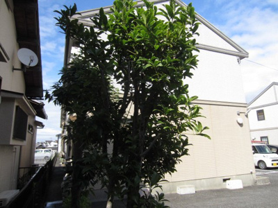 【外観】 | ガーデンタウン清水　Ｂ棟