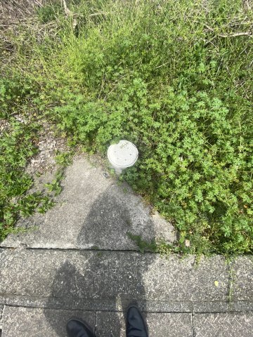 【外観】 | 八代市千丁町太牟田 | ☆現地写真☆