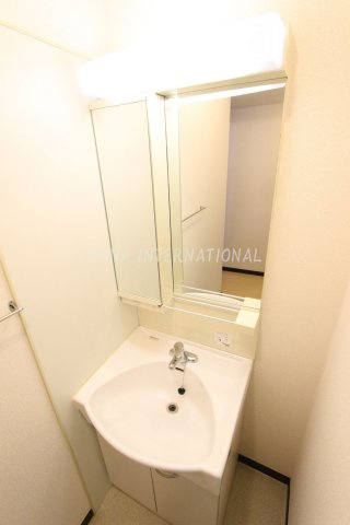 レオネクストジゴジ３の洗面所