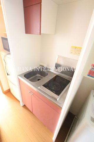 レオパレスカシオペアのキッチン