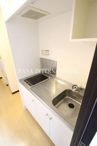 レオネクストカイトネストⅡのキッチン