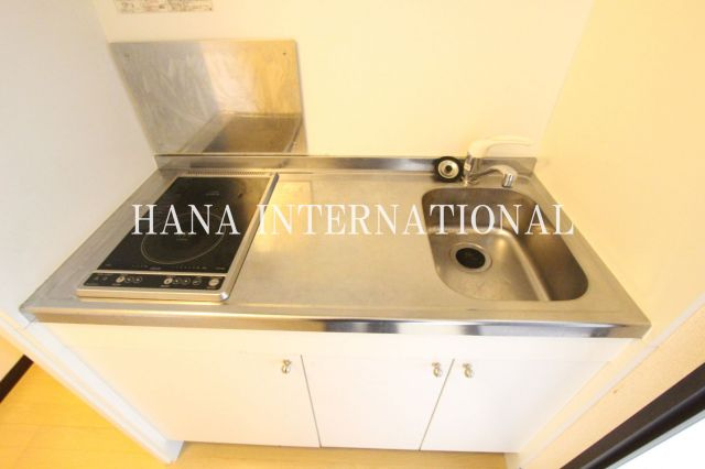 レオネクストカイトネストⅡのキッチン