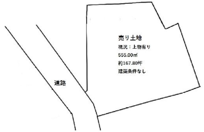 【土地図】 | K11250-紫明
