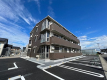 ヴィオラの画像