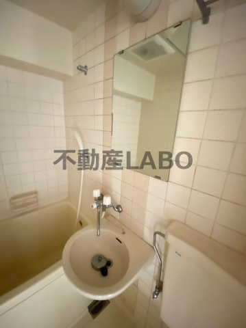 グリーンパークハイツの洗面所