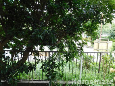 【展望】 | セラール大船