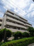 エンジェルス守屋の画像
