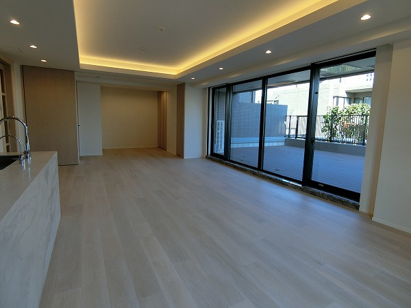 港区三田２丁目の賃貸マンションのその他|リビング