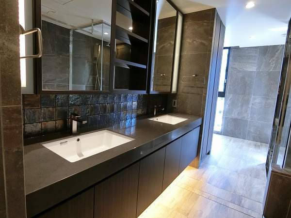 港区三田２丁目の賃貸マンションのその他|洗面