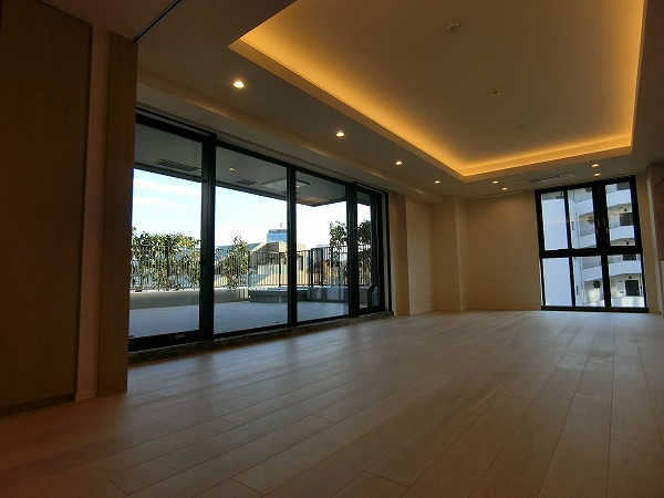 港区三田２丁目の賃貸マンションのその他|リビング