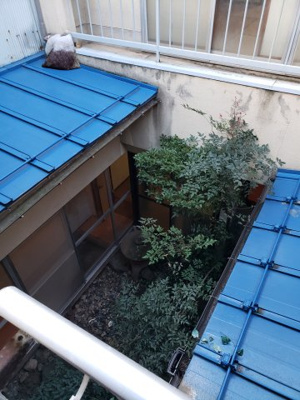 【庭】 | 鳥取市弥生町中古戸建