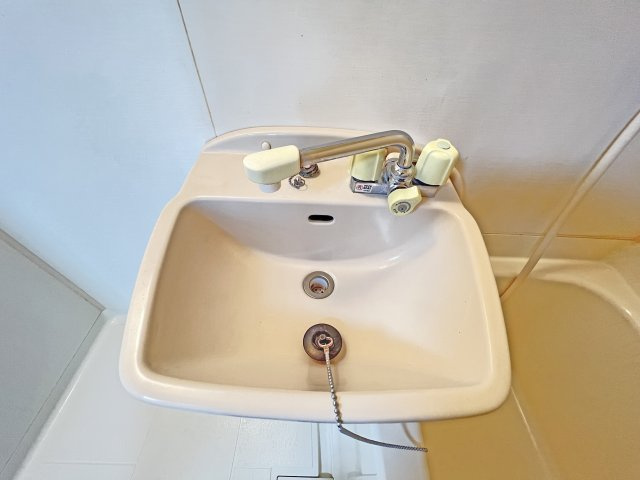 アメニティ南小岩の洗面所