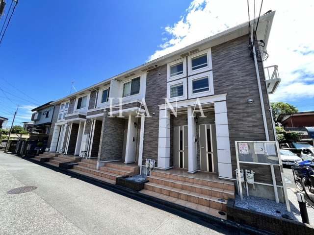 サンパティーク・レイ