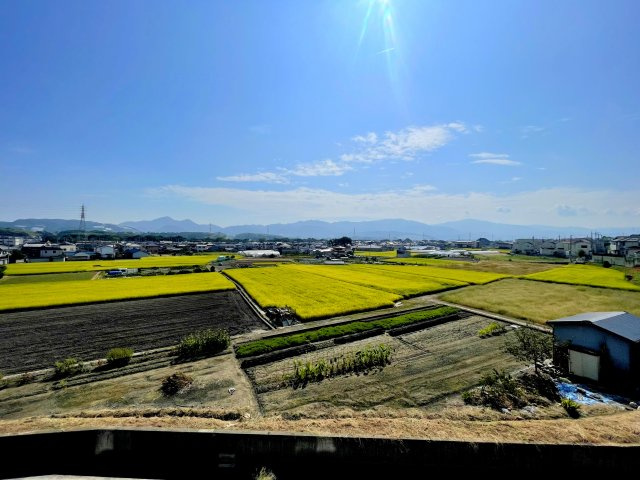 【展望】 | レジオンス阪杉