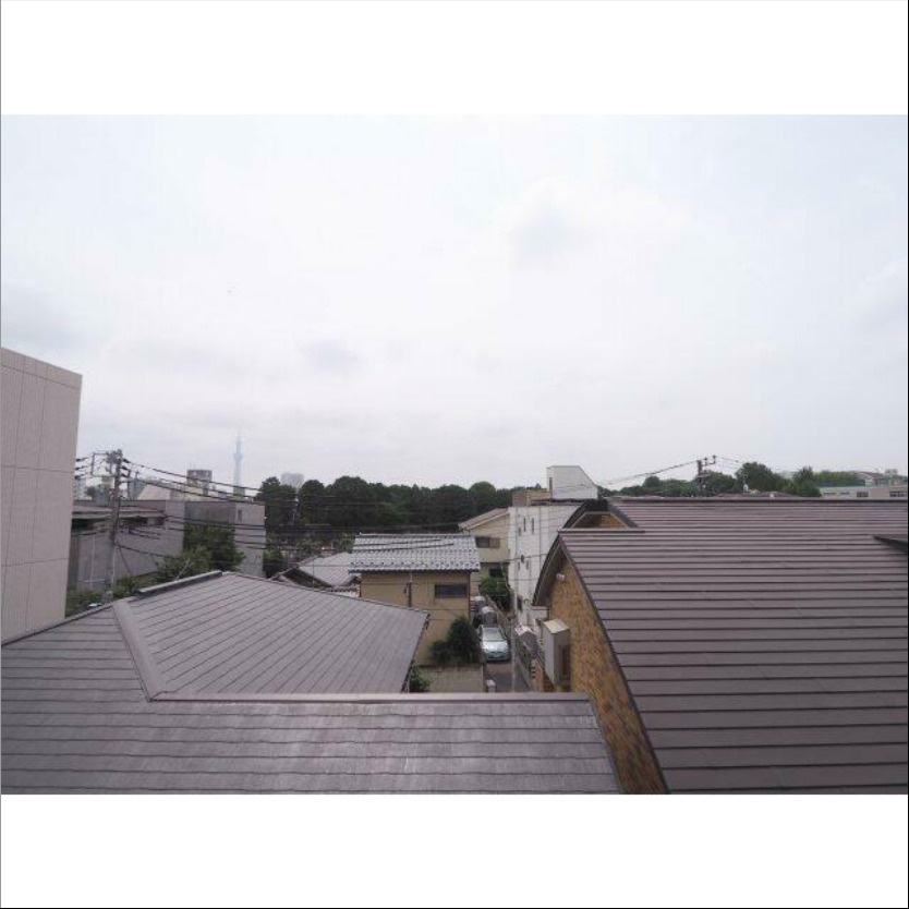 【展望】