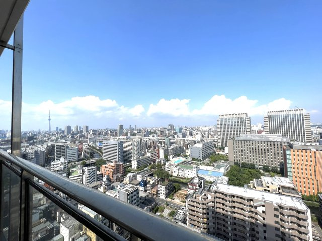 ウエルタワー深川の展望|バルコニーからはスカイツリーがみえます