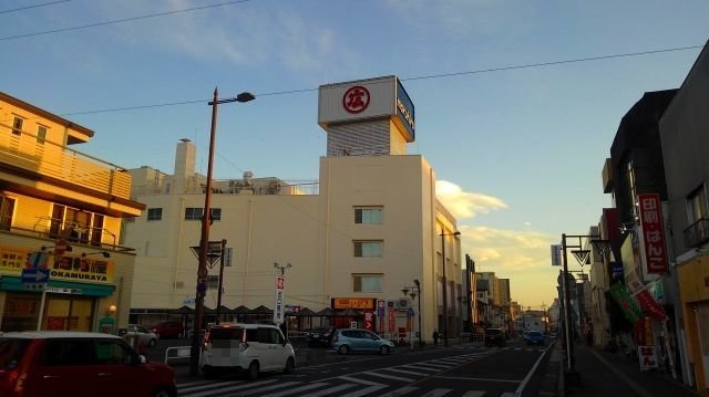 プレアデスの周辺|丸広百貨店東松山店まで870m