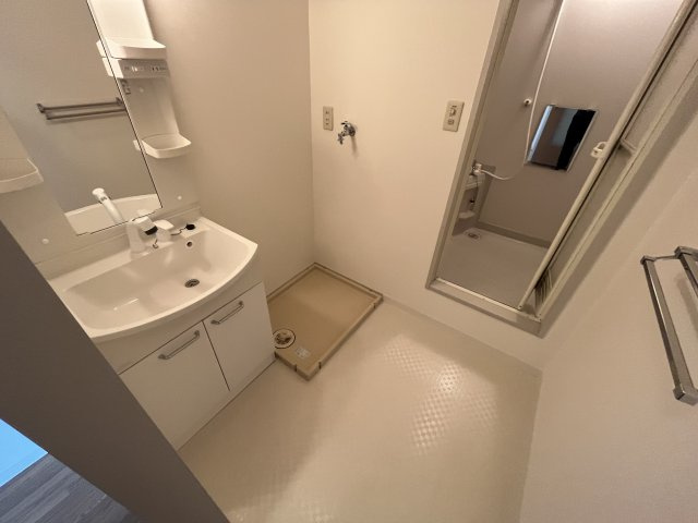 リビング清水町の洗面所