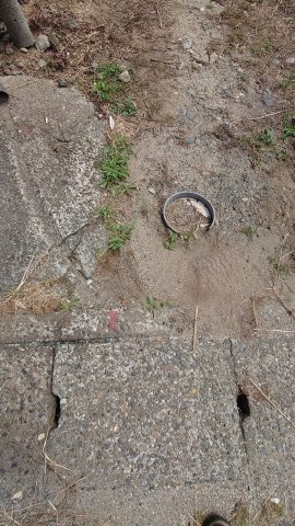 高島市新旭町饗庭土地の周辺